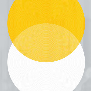 Concentric 1
